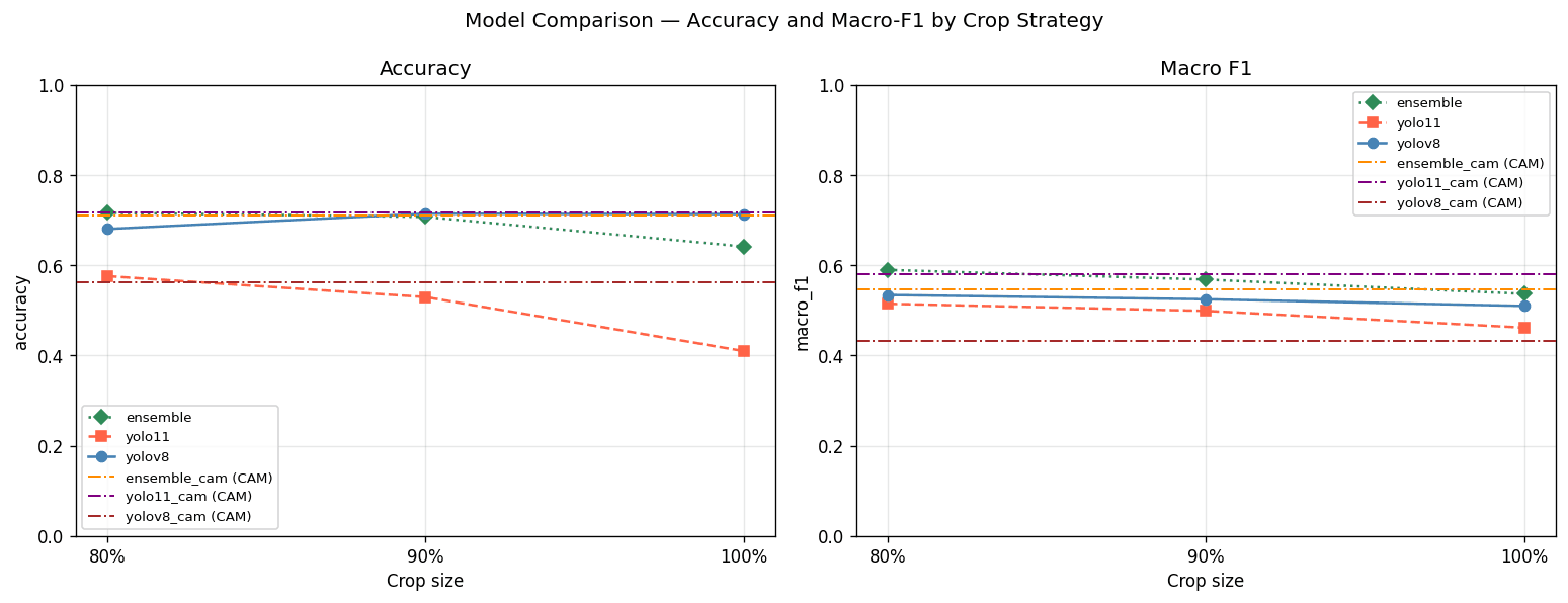 Accuracy vs macro-F1 across all variants